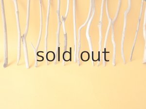 画像5: 小枝流木セット