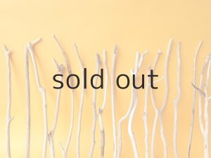 画像6: 小枝流木セット