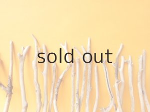 画像6: 小枝流木セット