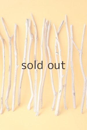 画像3: 小枝流木セット