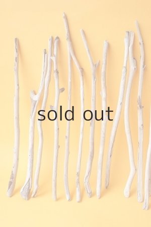 画像2: 小枝流木セット