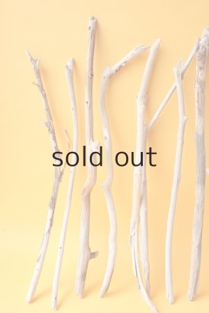 画像2: 小枝流木セット