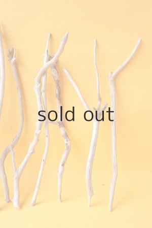 画像4: 小枝流木セット