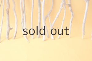 画像5: 小枝流木セット