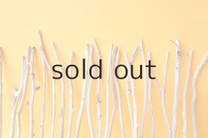 画像6: 小枝流木セット