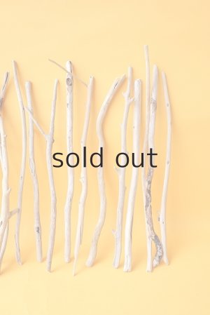 画像4: 小枝流木セット