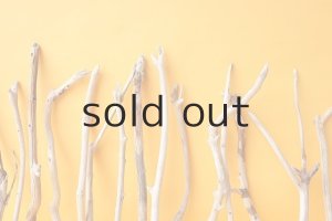 画像6: 小枝流木セット