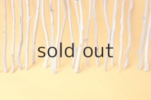 画像5: 小枝流木セット