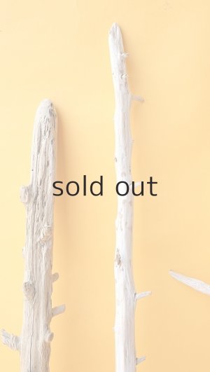 画像5: 枝流木セット