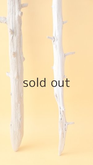 画像2: 枝流木セット