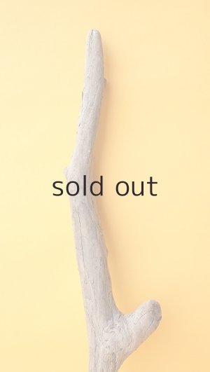 画像3: 変形流木