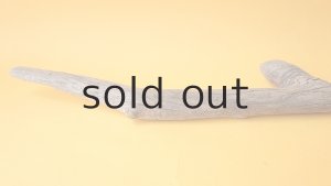 画像4: 変形流木