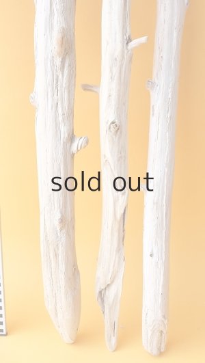 画像6: 枝流木セット