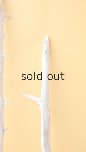 画像4: 枝流木セット