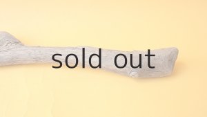 画像5: 変形流木