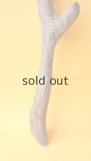 画像2: 変形流木