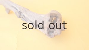 画像7: 変形流木