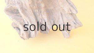 画像2: 変形流木