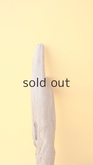 画像3: 変形流木