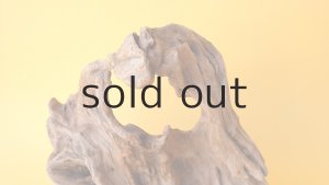 画像3: 変形流木