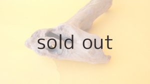 画像5: 変形流木