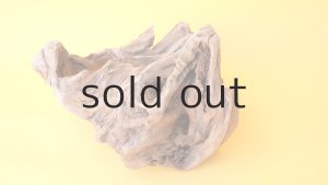 画像7: 変形流木