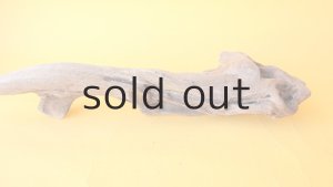 画像6: 変形流木