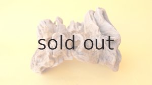 画像8: 変形流木