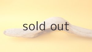 画像6: 変形流木