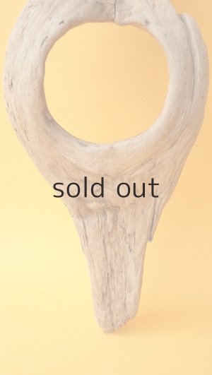 画像2: 変形流木