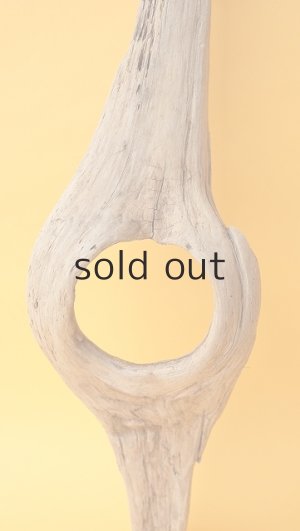 画像3: 変形流木