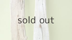 画像3: 板流木セット