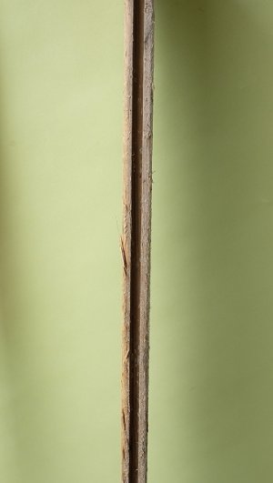 側面片方が凹になっています。