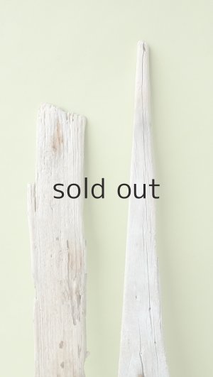 画像4: 板流木セット