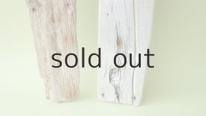 画像2: 板流木セット