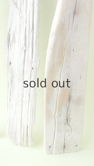 画像5: 板流木セット