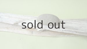 画像6: 板流木セット