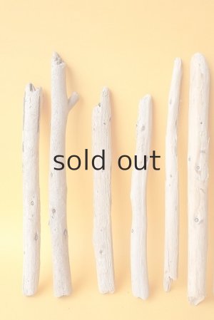 画像2: 棒流木セット