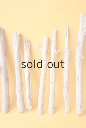 画像4: 棒流木セット