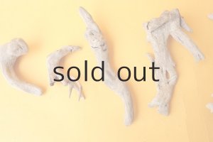 画像3: ミニ流木根セット