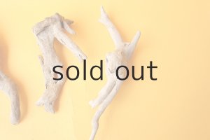 画像4: ミニ流木根セット