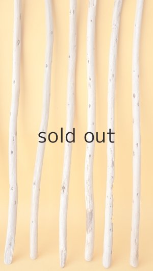 画像6: 棒流木セット