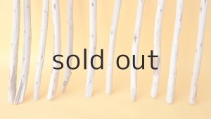 画像2: 棒流木セット