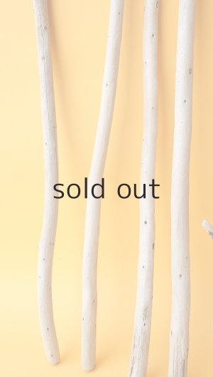 画像5: 棒流木セット