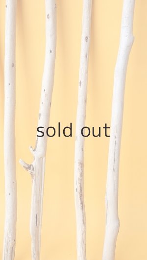 画像6: 棒流木セット