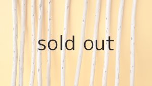 画像3: 棒流木セット