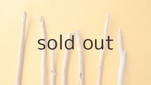 画像4: 棒流木セット