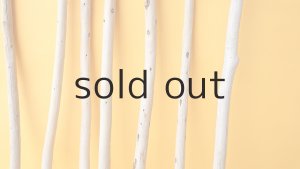 画像3: 棒流木セット