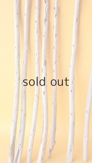 画像5: 棒流木セット