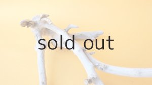 画像6: 小枝流木